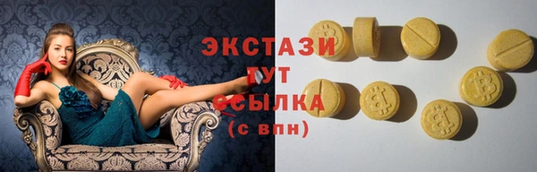 стаф Алзамай