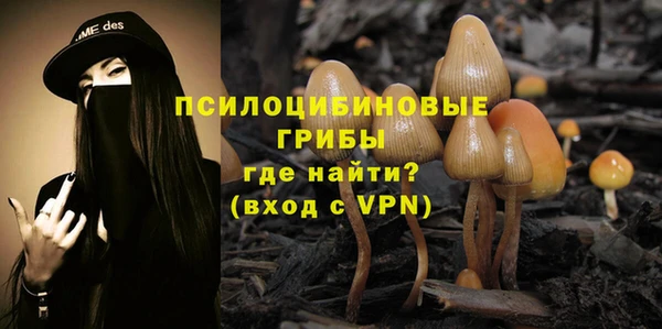spice Армянск